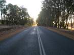 Green Corridor.jpg