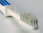 Teeth.jpg