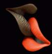Lips.jpg