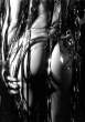 Tracks [18+].jpg