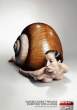 Snail.jpg