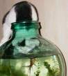 Fishbowl Fishing.jpg