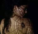Spiderweb.jpg