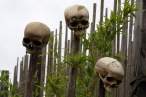 Skull.jpg