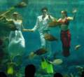 Underwater.jpg