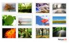 nature05_preview.jpg