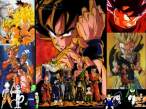 wallpaper_dbz07_800x600.jpg