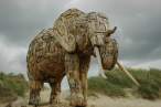 Elephant.jpg