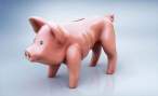 Thin pig.jpg
