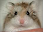 hi there.jpg