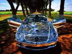 Chromed.jpg