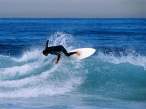 Surfing.jpg