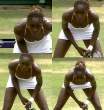 venus_williams0011.jpg