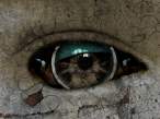 Dark-Art_025s.jpg