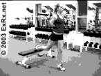 BBSingleLegSplitSquat.gif