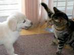 Nice to meet you.jpg