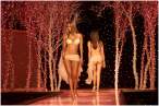 Click to enlarge tyra-banks_28018.jpg