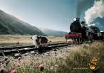 Train.jpg