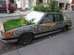 Community car.jpg