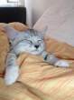 Sleeping.jpg