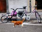Additional bike.jpg