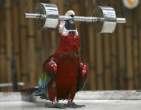 Heavy.jpg
