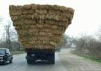 Heavy load.jpg