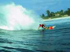 Surfing.jpg