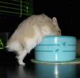 Hungry.jpg