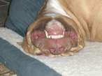 Smile.jpg