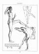 (eBook - English) Andrew Loomis - Figure Drawing - For All It's Worth_Page_123_Image_0001.jpg