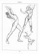 (eBook - English) Andrew Loomis - Figure Drawing - For All It's Worth_Page_133_Image_0001.jpg