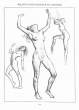 (eBook - English) Andrew Loomis - Figure Drawing - For All It's Worth_Page_134_Image_0001.jpg