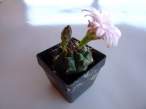 2007_0624_003435.jpg