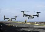 osprey hovering 3.jpg