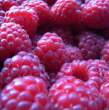 Fruit.jpg