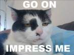 Impress.jpg