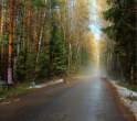 Road.jpg