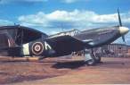 099 - mustang.jpg