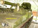 14. 2s4 tulpan.jpg