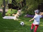 Goal keeper.jpg