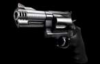 S&W MAGNUM 500.jpg
