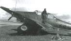 Ju 87 A Stuka,29 5,JolantheKette,5.Staffel J 88 02 s.jpg