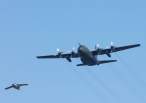 hercules_1.jpg