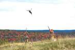 hunt 6.jpg
