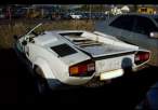 Lambo.jpg