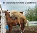 Zzzzzz....jpg