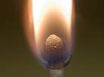Fire.jpg
