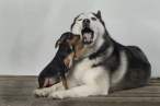 Dental check.jpg