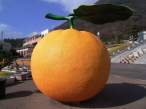 Orange.jpg